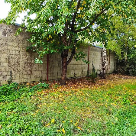 Feriehus Maison Avec Jardin En Centre - Proche Gare Et Circuit 24h Du Mans