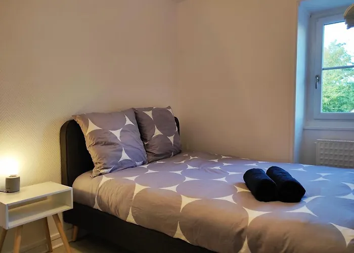 Maison Avec Jardin En Centre - Proche Gare Et Circuit 24h Du Mans 펜션 *