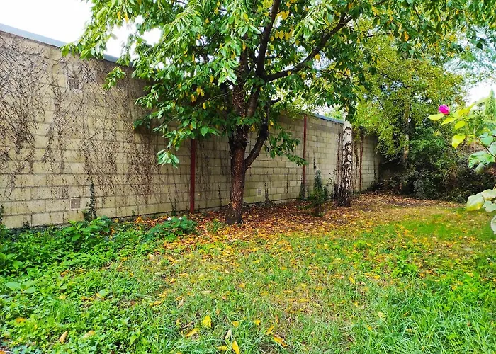 度假居 Maison Avec Jardin En Centre - Proche Gare Et Circuit 24h Du Mans
